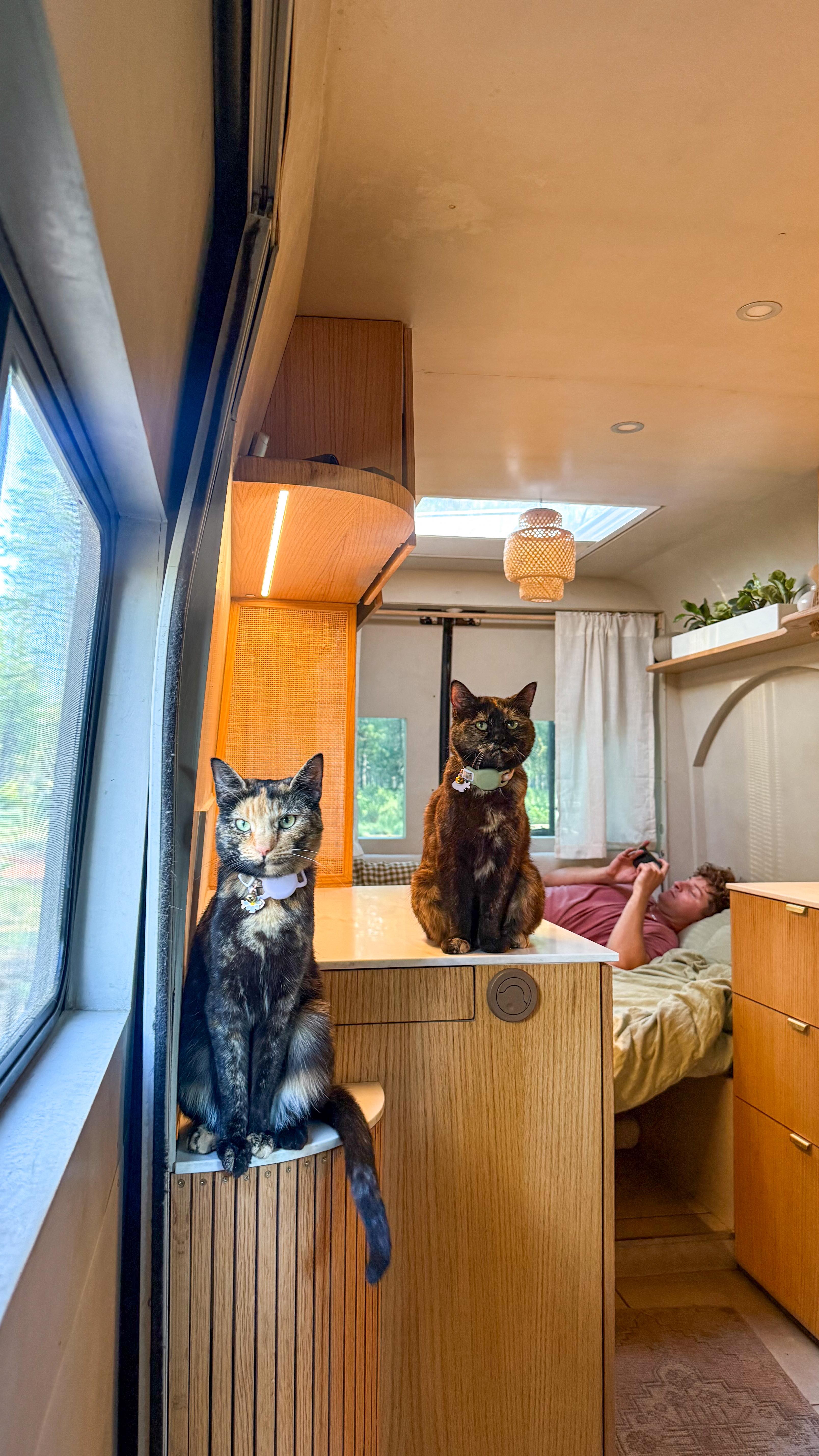 Instagram post by @scarletandseth for Greenies. Caption reads: it’s a full time gig 🌼☕️🚶🏼💕✨.