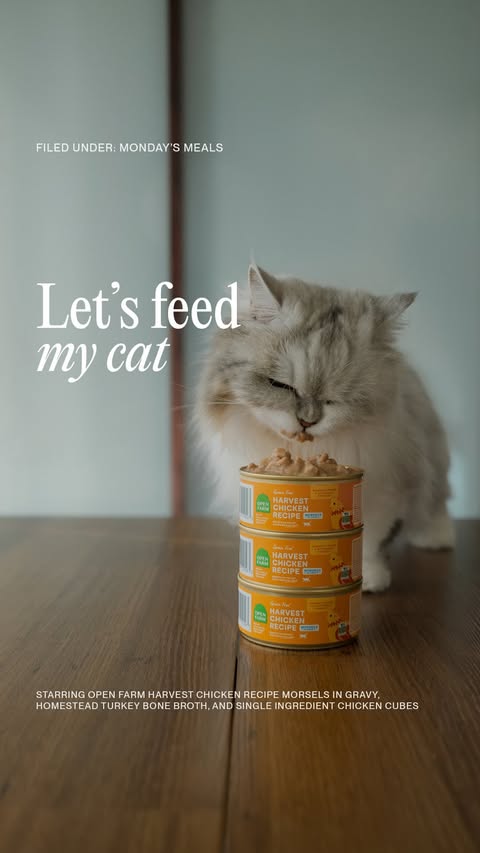 Instagram post by @monday.meows for Open Farm Pet. Caption reads: [...] tells me if I need to take it slow.....