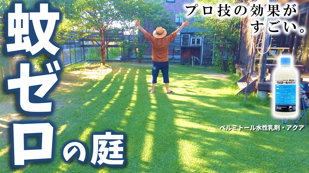 YouTube post by @oto_niwa for OtoLogic. Caption reads: [Zero Mosquitoes] Testing the Power of a....