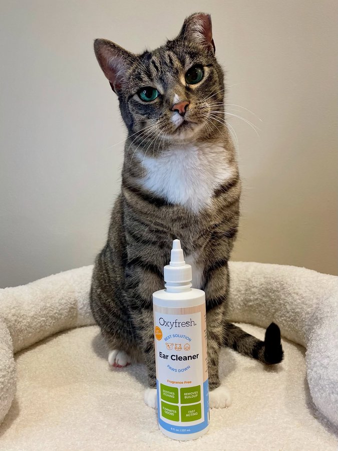 Instagram post by @milocat_sweetness for Oxyfresh. Caption reads: [...] our new ear care from @oxyfresh. Removes....