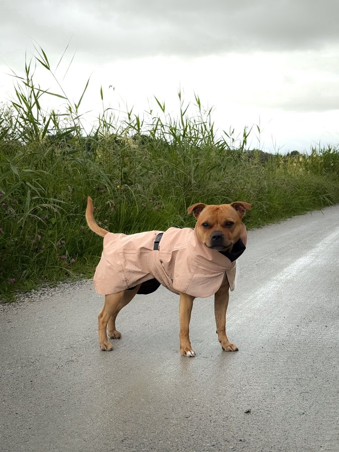 Instagram post by @yava.sofie for PAIKKA. Caption reads: [...] ready for autumn? 🍂🍁

We are! 😍

Ad....