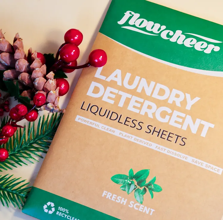 Instagram post by @tishyas.reviews for Flowcheer. Caption reads: [...] Tired of the laundry day chaos? Enter....