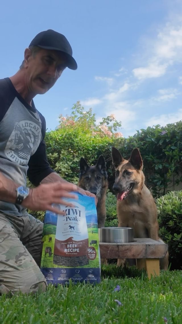 Instagram post by @robertcabral for ZIWI Pet Food. Caption reads: I feed ZIWI Peak to my dogs and feel great about....