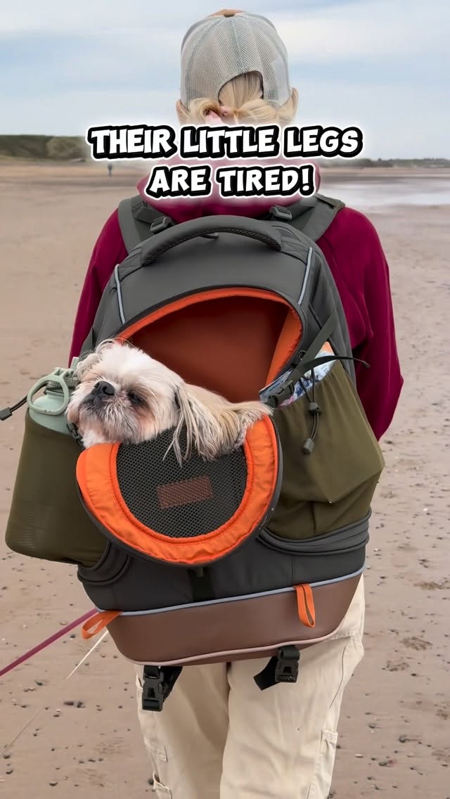 Instagram post by @blondeandtzus for Petsfit. Caption reads: [...] a mid adventure nap? 😂
.
Backpack from....