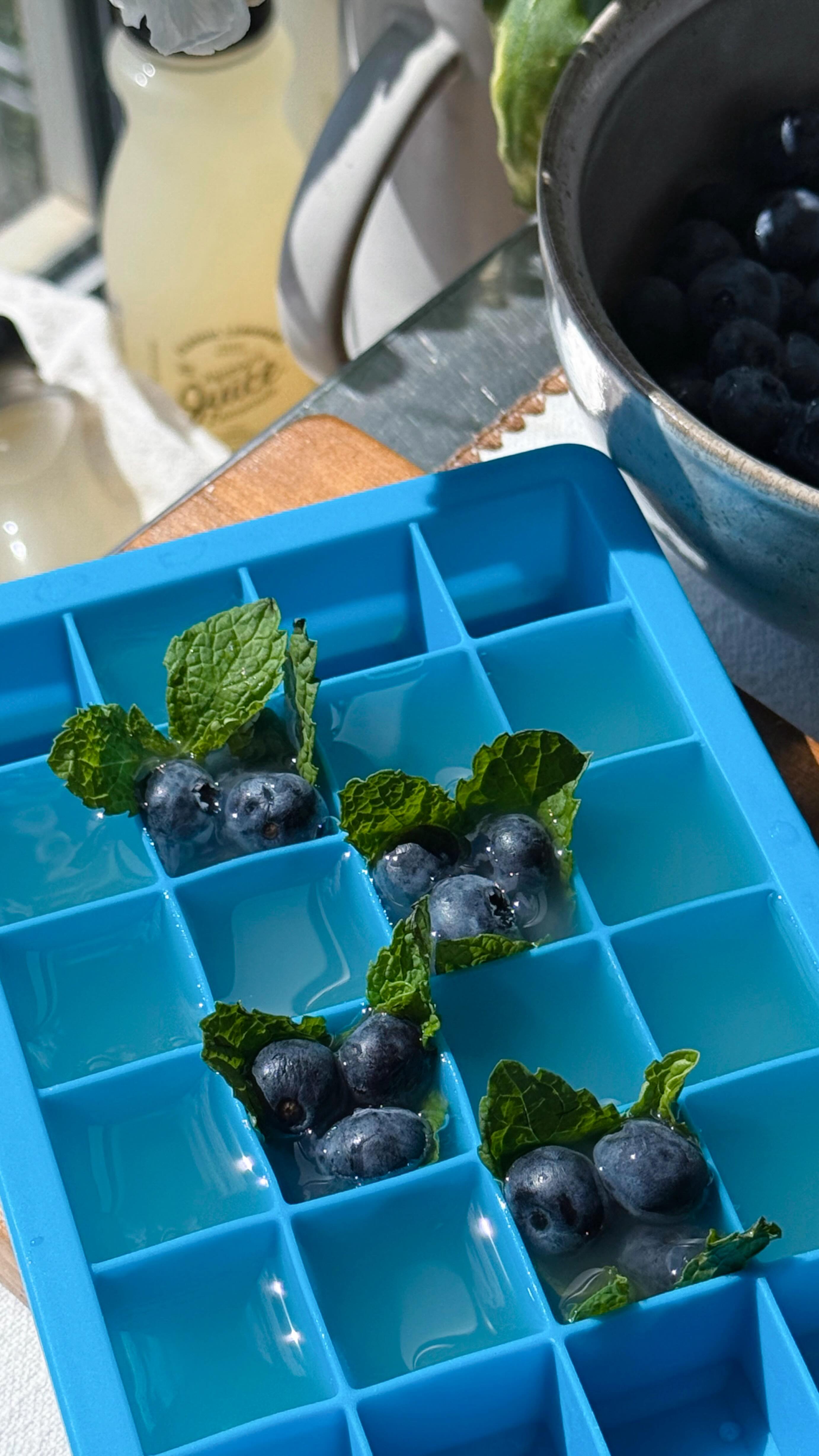 Instagram post by @onthemocks for The Squeezed Juice. Caption reads: [...] mint leaves + blueberries — and....