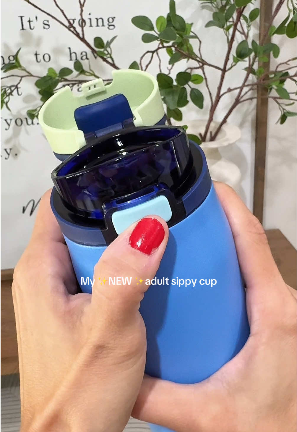 TikTok post by @countingthecoynes for Simple Modern. Caption reads: [...] totally adult-approved! 💧 @Simple Modern ....