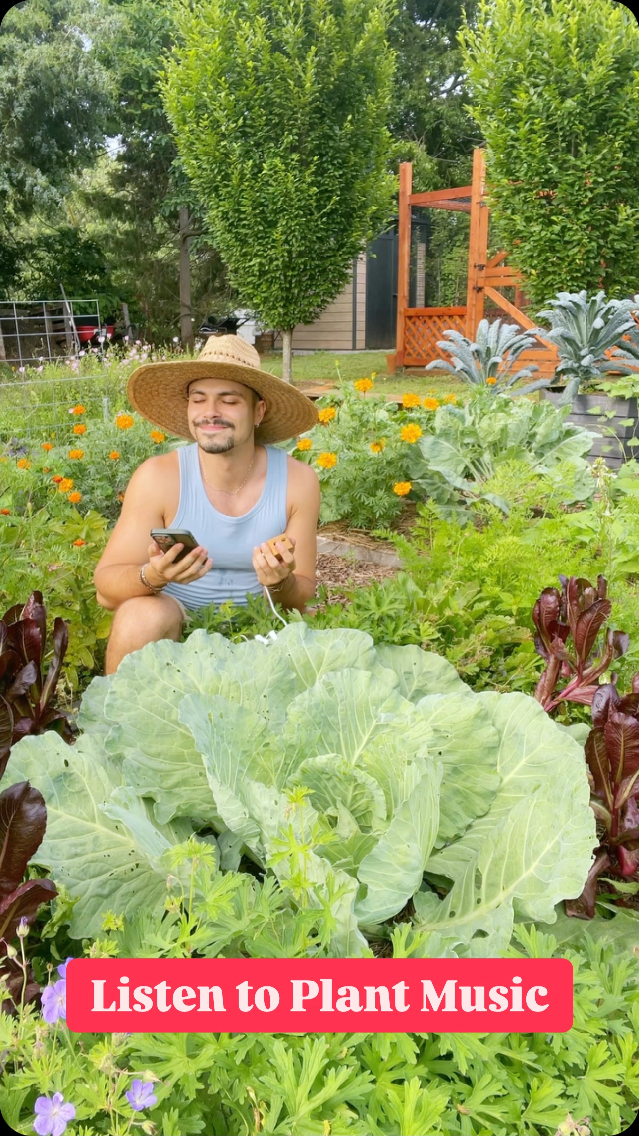 Instagram post by @redleafranch for PlantWave. Caption reads: Hear the songs of nature with @plantwave....