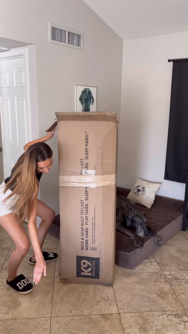 Instagram post by @dunc.thedane for K9 Ballistics. Caption reads: NEW BED WHO DIS?🐾

We needed to swap out Duncan’s....