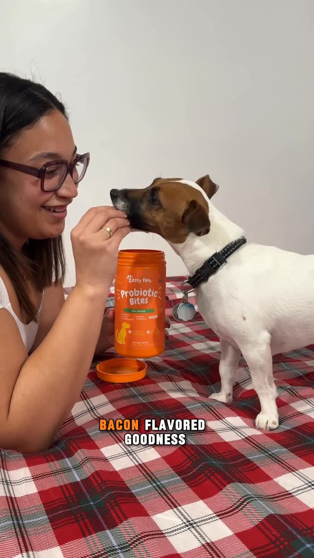 Instagram post by @readysetcoupon for Zesty Paws. Caption reads: Healthy Gut, Happy Pup 🐾🛒🧡 Shop Zesty Paws....