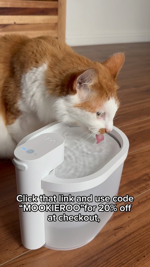 Instagram post by @mookie.roo for Uahpet. Caption reads: Winston loves his new fountain! Use Code....
