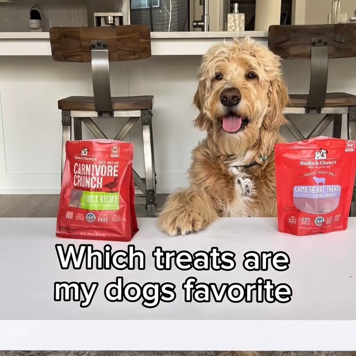 Instagram post by @vitothedogfather for Stella & Chewy's. Caption reads: To be honest Luca loves all things....