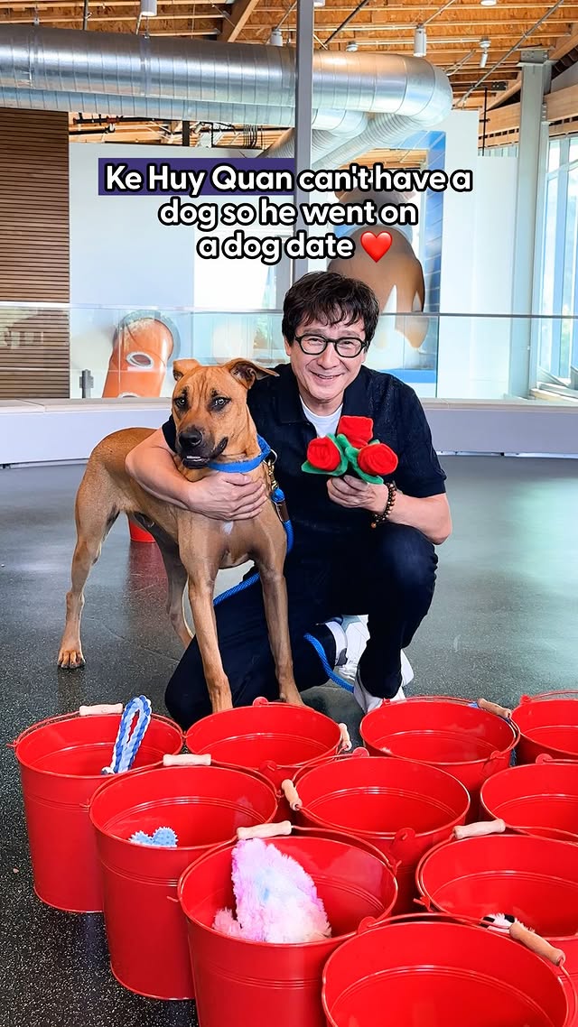 Instagram post by @annenbergpetspace for The Dodo. Caption reads: @kehuyquan gets his dog fix on a Dream Date since....