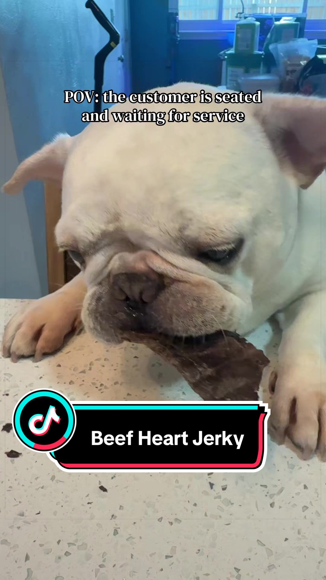 TikTok post by @mrjamesgregory_ for King Lou. Caption reads: [...] your beef heart jerky anyway 😭🐶 #kinglou....