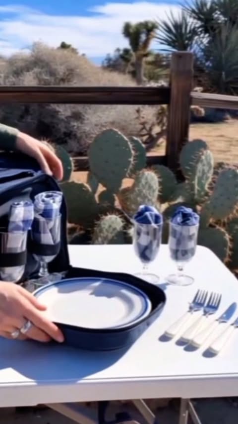 Instagram post by @shannan.rn for Temu. Caption reads: [...] versatile folding picnic table I found....