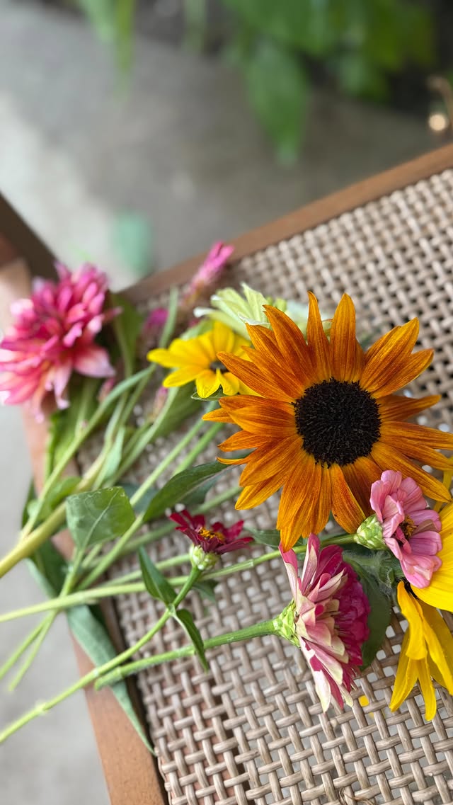 Instagram post by @baileeinbloom for Sun Bum. Caption reads: Here’s a fun fact about me: I didn’t grow up in a....