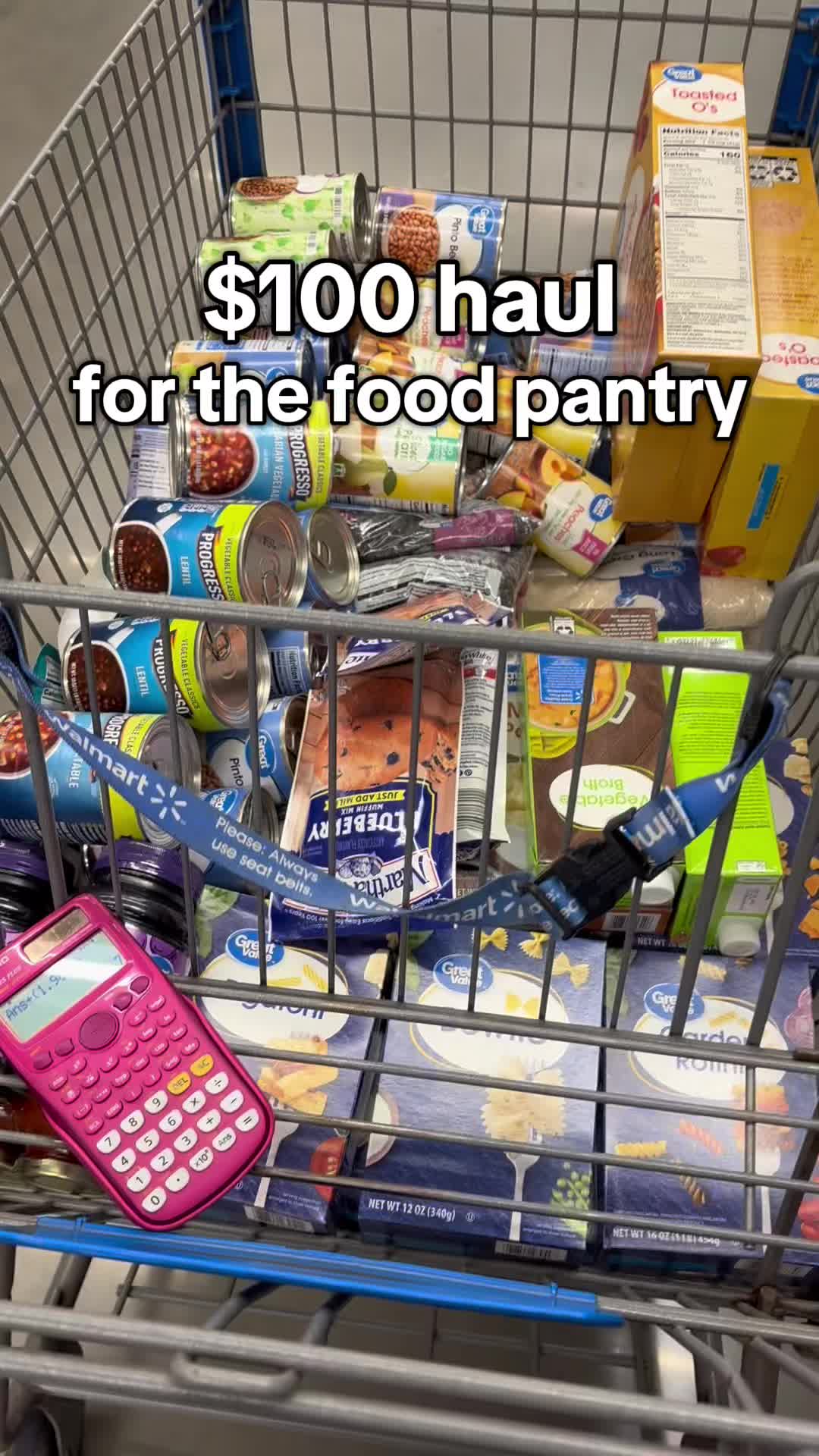 TikTok post by @itsmekatevee for Fetch. Caption reads: come along with me this morning to use my @Fetch....