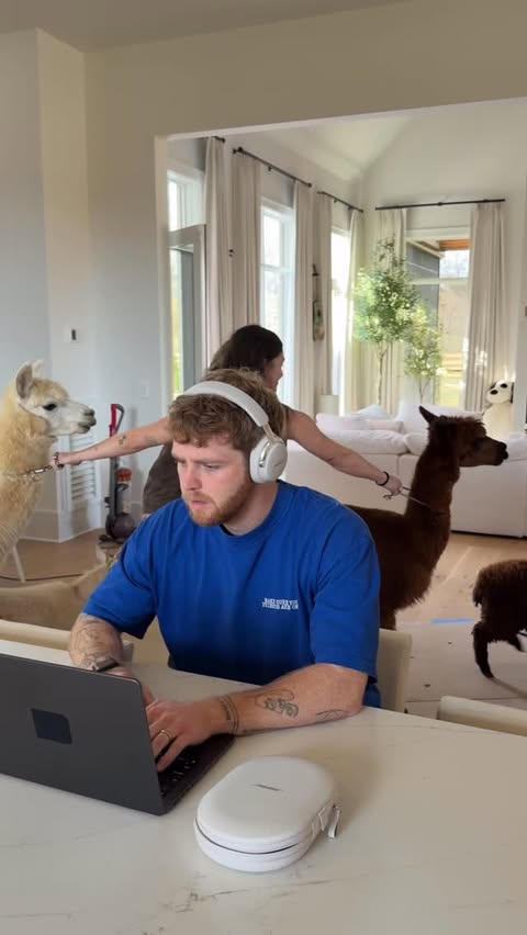 Instagram post by @alexwarren for Bose. Caption reads: When noise cancelling actually works! @bose.