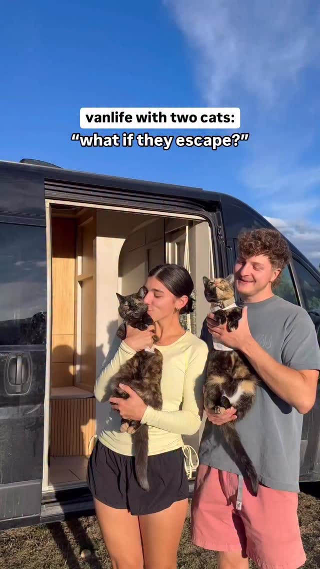 Instagram post by @scarletandseth for Tractive. Caption reads: Sincerely, a proud helicopter cat mom of two....