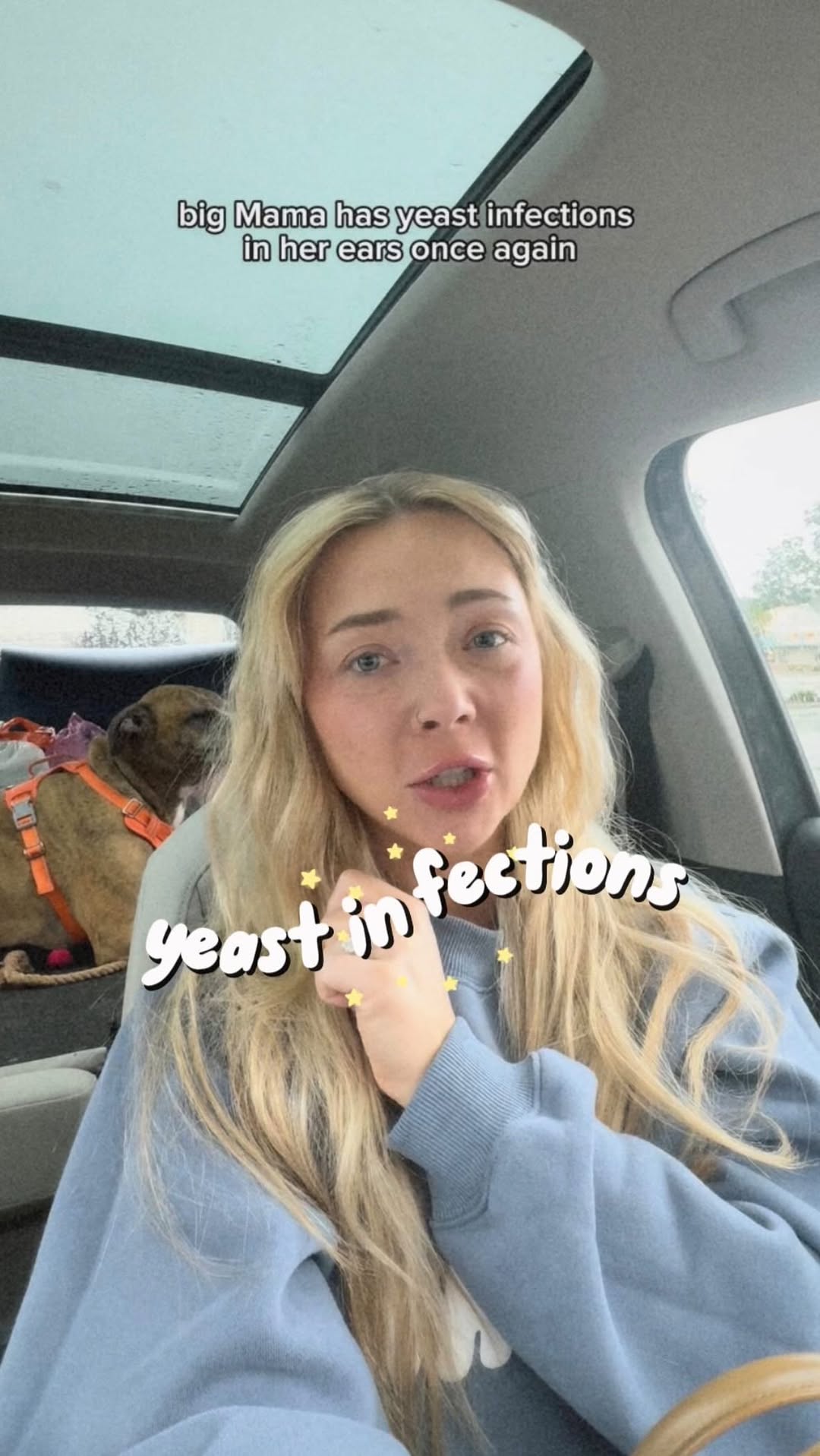 Instagram post by @__ericamerica for Zesty Paws. Caption reads: phoebe gets chronic yeast infections in her ears....