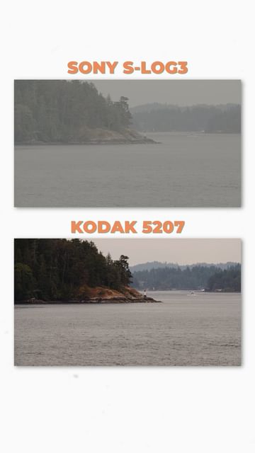 Instagram post by @dunnadidit for FilmConvert. Caption reads: Seriously 😮 @filmconvert Nitrate is one of the....