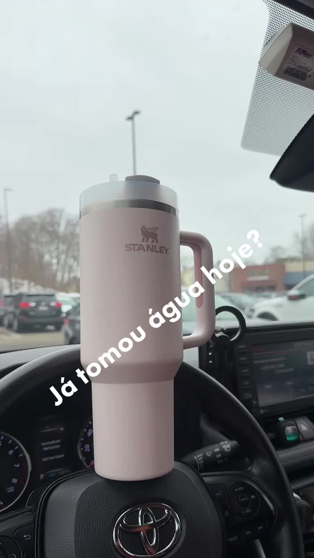TikTok post by @rose_mae_de_tres for Stanley 1913. Caption reads: Beba água ! @Stanley 1913 #stanleycup.