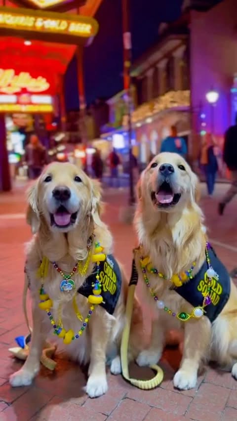 Instagram post by @it_is_a_pancake_life for Hertz. Caption reads: The @hertz Gold Squad made their way to Mardi Gras....