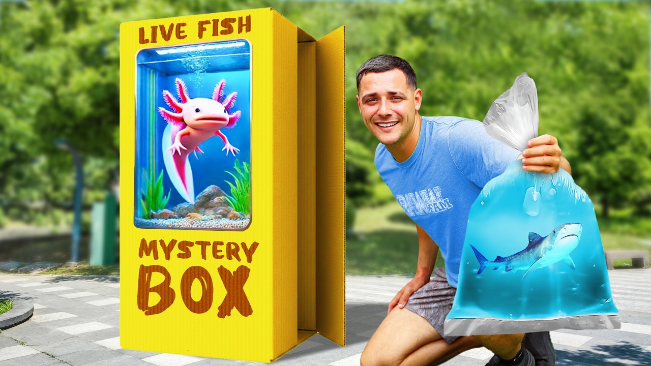 YouTube post by @RAWWFishing for Sphinx LLC. Caption reads: I Bought A Live Fish Mystery Box Off The Web...