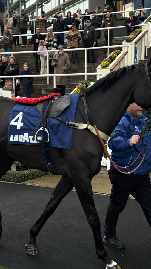 Instagram post by @dnieccio for Lavazza. Caption reads: fell in love with @lavazzauk at the races #Ascot....