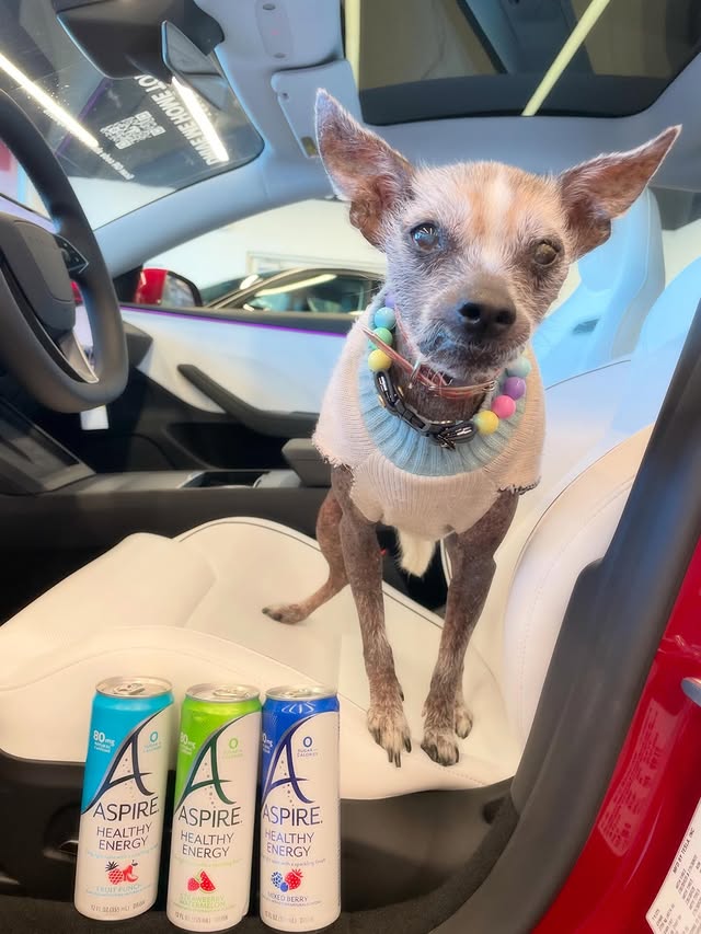 Instagram post by @zeusxolo for Aspire Drinks. Caption reads: [...] when running errands we now chose....