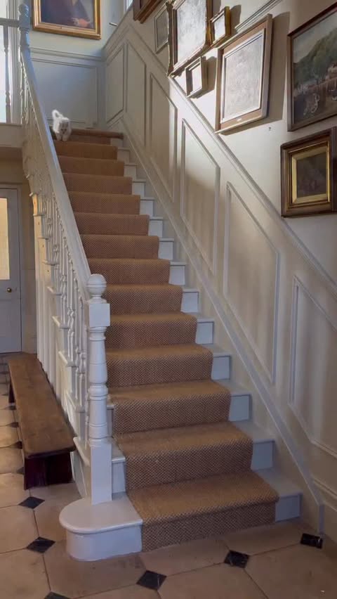 Instagram post by @tale_victoria for KatKin. Caption reads: [...] than I expected. Since switching him to....