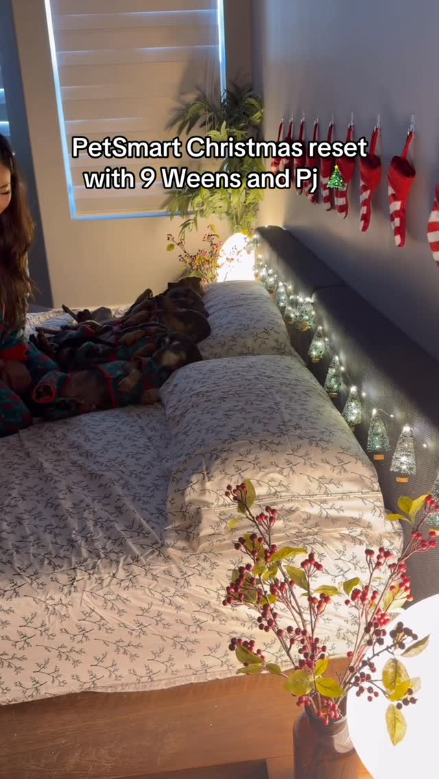 Instagram post by @yunabugs for PetSmart. Caption reads: Twas the night of decorating, and not a treat was....