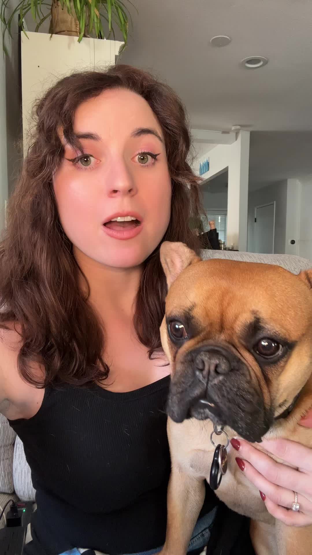 TikTok post by @rosekemanuel for Angry Orange. Caption reads: @Angry Orange but a happy Frenchie! These wipes....