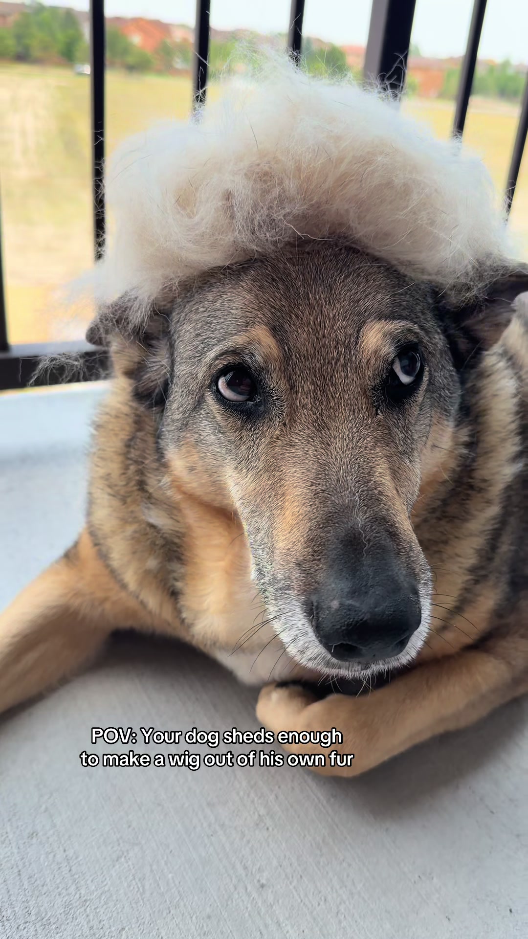 TikTok post by @sirfritzgerald for SleekEZ. Caption reads: @SleekEZ USA coming in clutch during shedding....