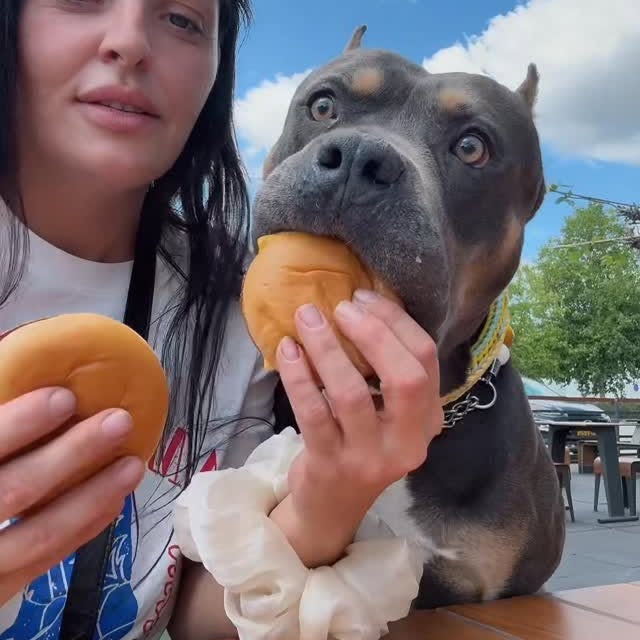 Instagram post by @bundleofbullies for McDonald's. Caption reads: Healthy lunch with my bestie @mcdonalds....
