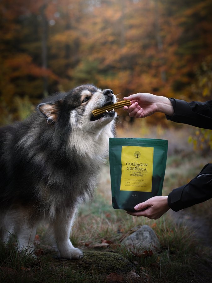 Instagram post by @aikothelappie for ESSENTIAL FOODS. Caption reads: [In collaboration with @essentialfoodsofficial]....