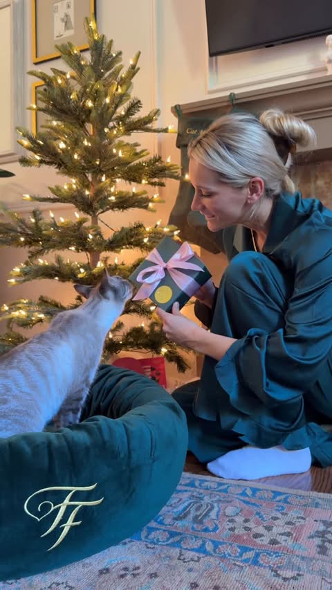 Instagram post by @westonwillow_ for Fancy Feast. Caption reads: [...] the coziest Fancy Night In. Check....