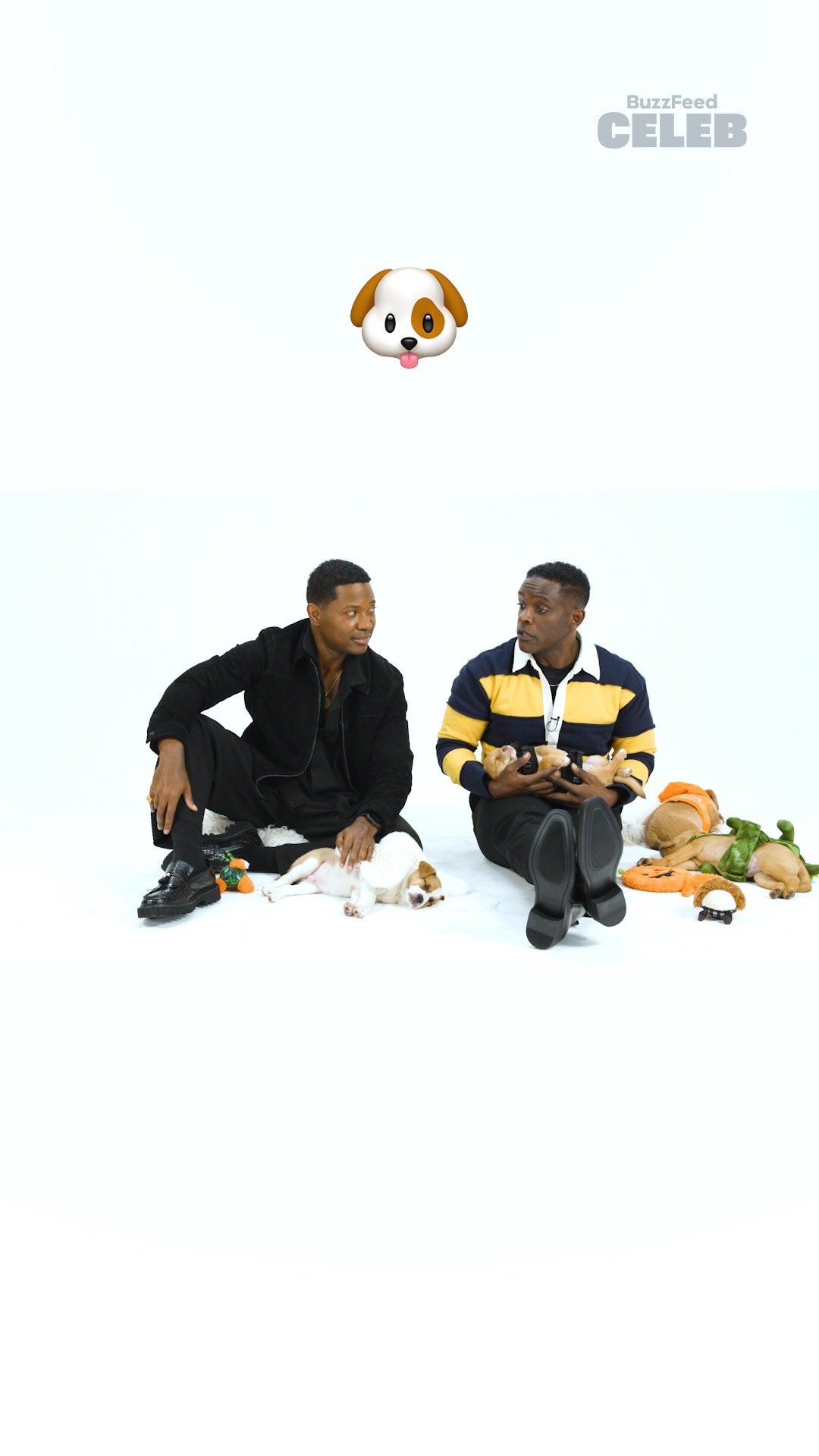 Instagram post by @pawsitivebeginningsla for BuzzFeed. Caption reads: Presented by @PetSmart.

Pennywise is back in our....