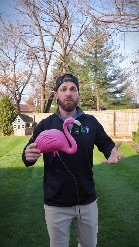 Instagram post by @rootedlawnco for Simple Lawn Solutions. Caption reads: [...] but at a discount price! Shop....