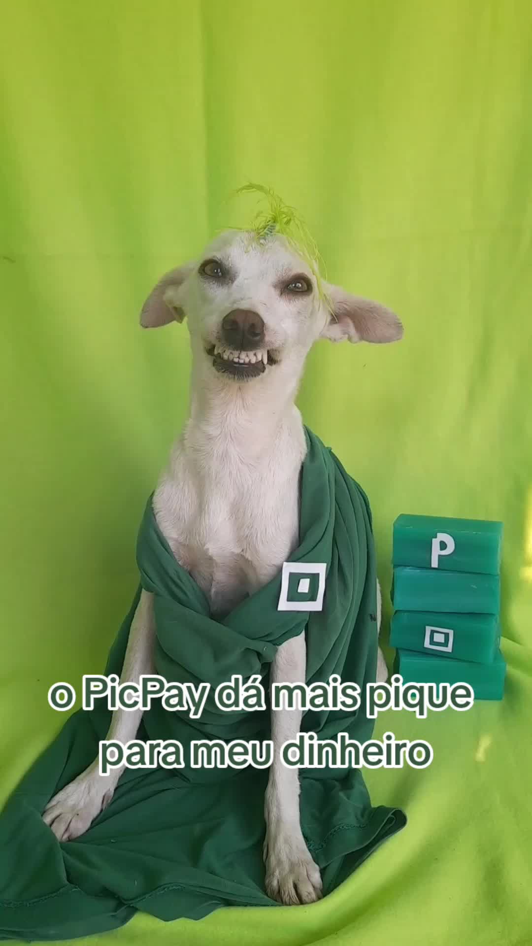 TikTok post by @ambrosiacachorra for PicPay. Caption reads: #ComMaisPique @picpay .