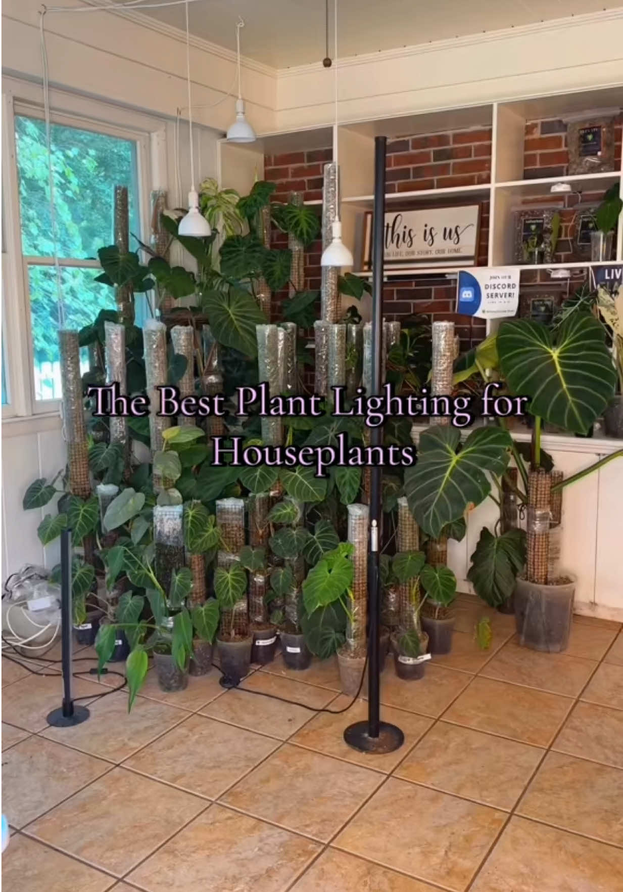 TikTok post by @britneyleighwilliams for Barrina. Caption reads: Absolutely love all of @Barrina.official products....