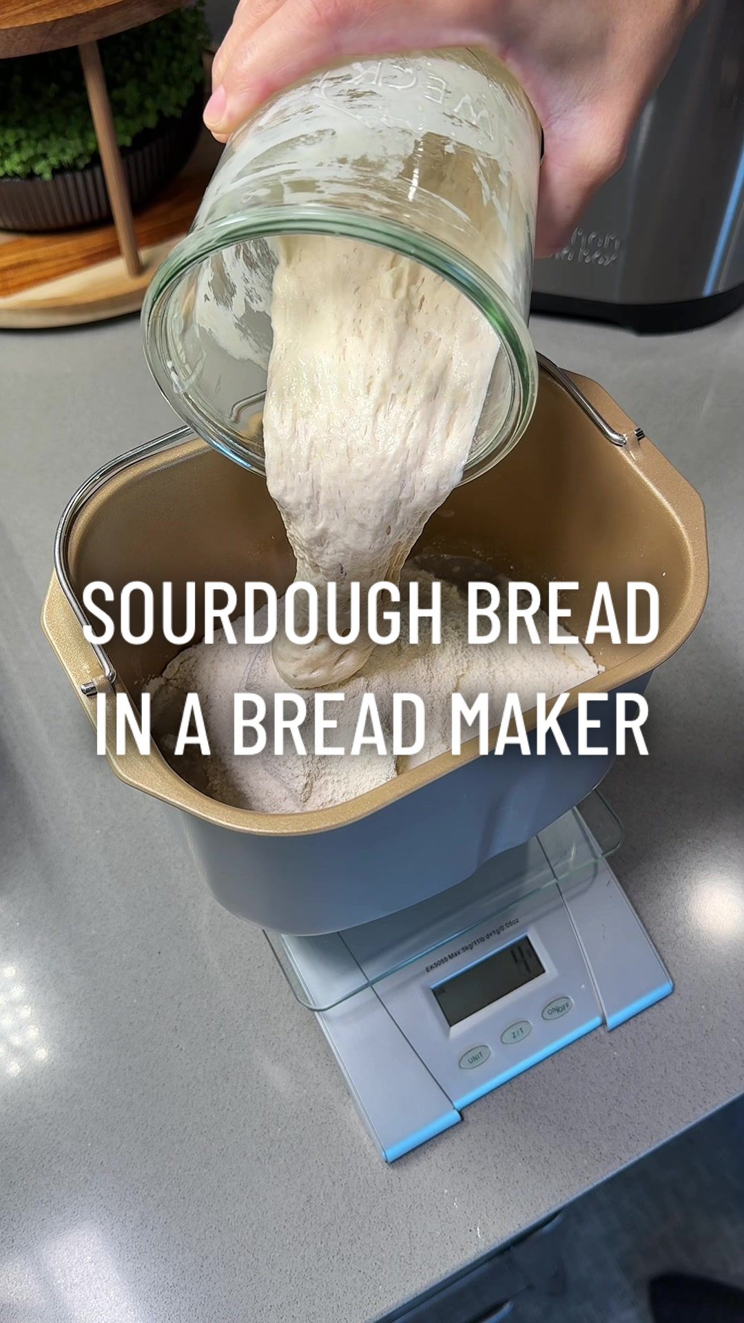 TikTok post by @gardeningindoors for Kitcheninthebox. Caption reads: Trying sourdough bread in the @Kitchen in the Box....