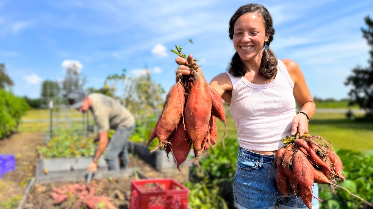 YouTube post by @morethanfarmers for Birch. Caption reads: Growing a TON of FOOD in a Small Amount of Space.