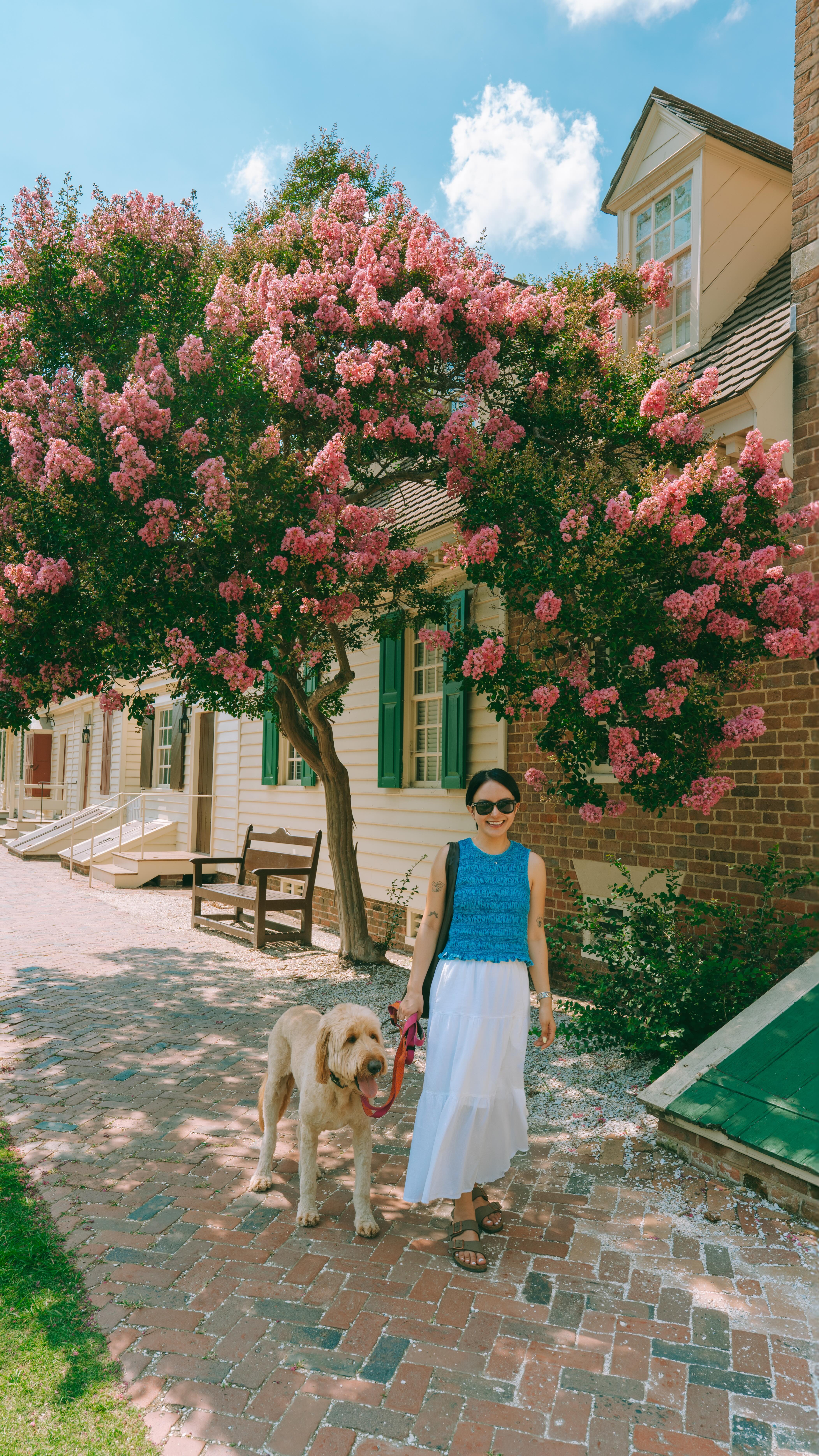 Instagram post by @withsunshinesol for Visit Williamsburg. Caption reads: Just 2.5 hours from Washington DC, this weekend....