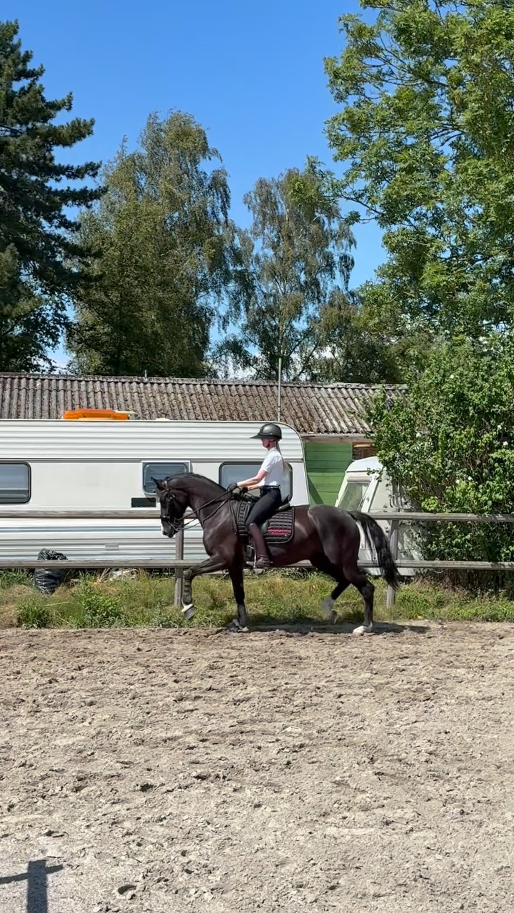 Instagram post by @emmaahlberg88 for Dada Sport. Caption reads: This Queen ☝️ |Ad|.