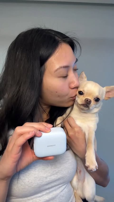 Instagram post by @erniethewawa for TORRAS. Caption reads: #ad Pet parents, this @torras_global charger is a....