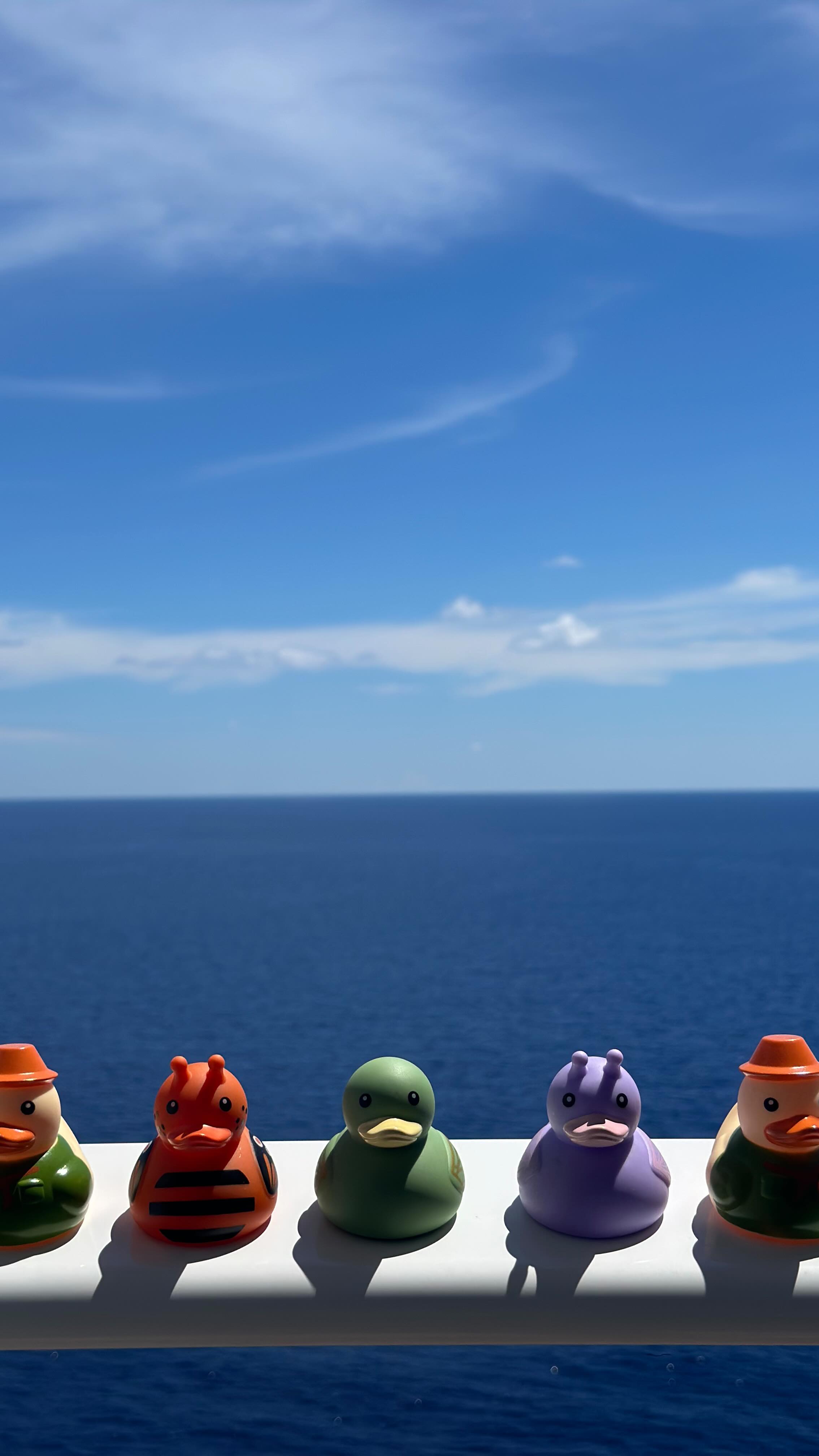 Instagram post by @1spotaday for Royal Caribbean. Caption reads: STAR OF THE SEAS ⭐️

Vocês já conheciam a....