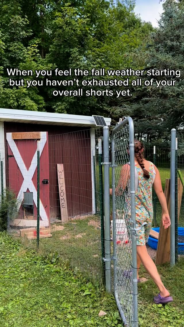 Instagram post by @happyacreshomesteadmn for Duluth Trading Company. Caption reads: @duluthtradingcompany I love you

#overalls....