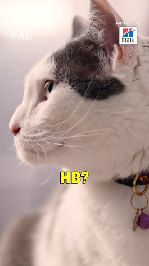 Instagram post by @gabbywilliams for Hill's Pet Nutrition. Caption reads: #ad One word to describe Hill’s? Clutch. HB and I....