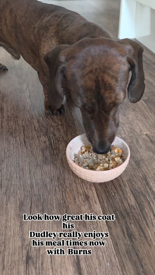 Instagram post by @pink_rose_home for Burns Pet Food. Caption reads: Ad/
• It's been 3 Months on Burns !!

• Burns Pet....