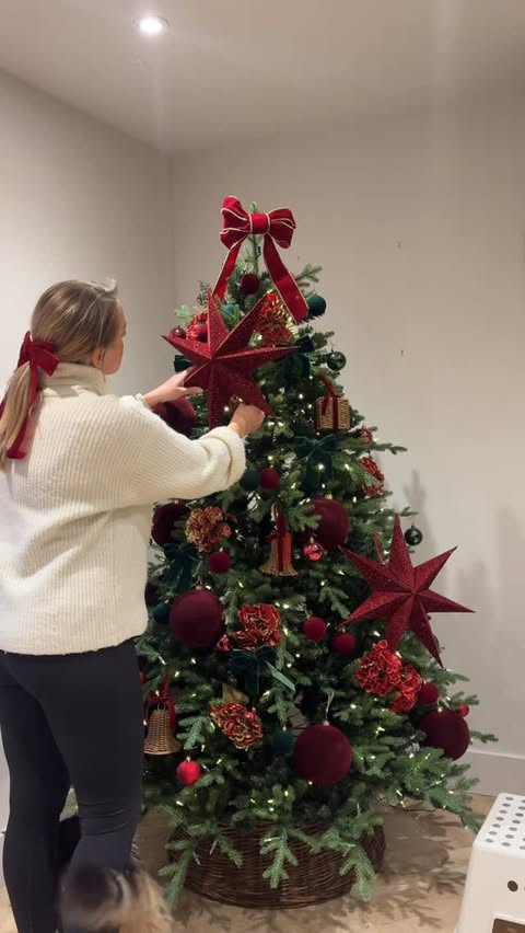 Instagram post by @the_robinsonfamily_abode for Home Bargains. Caption reads: Christmas tree two~ the lounge tree 🎄 ✨✨

I’ve....